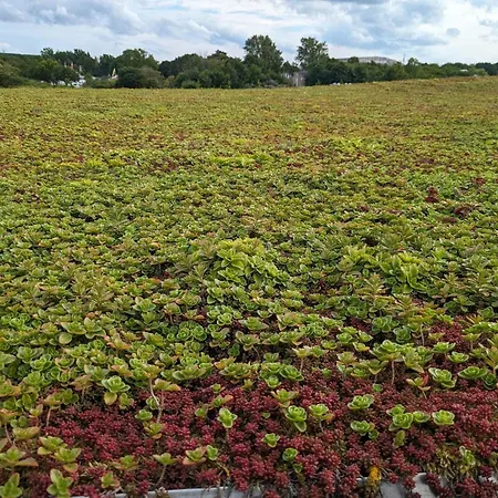 Dom wakacyjny 4 Star In Aalborg